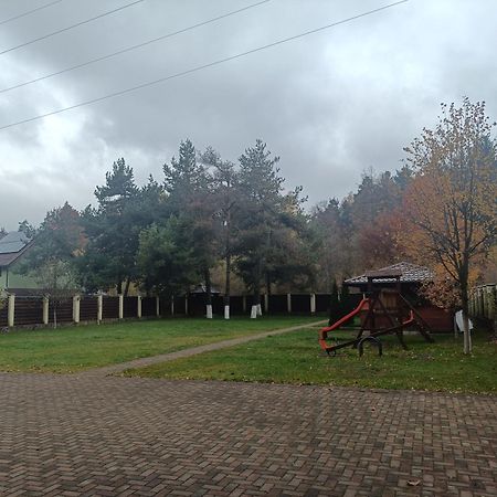 Vila A&N Timișu de Jos Zewnętrze zdjęcie